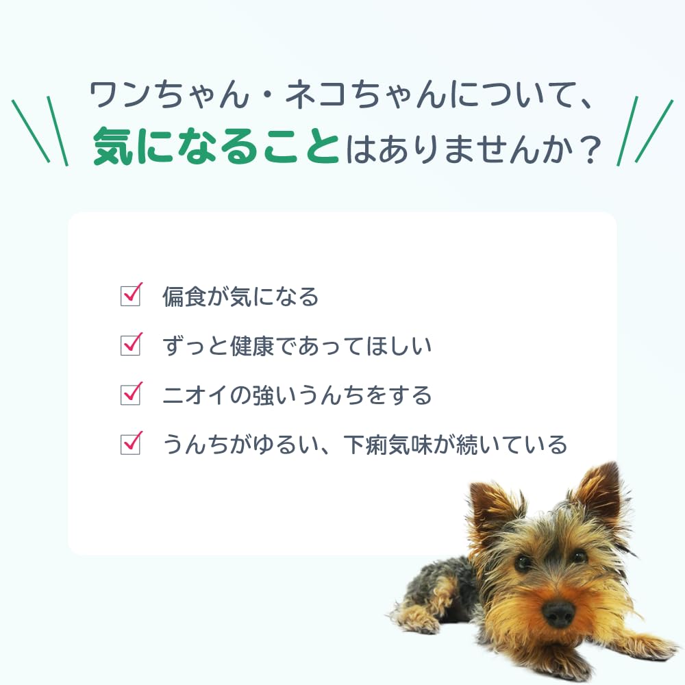 Amazon.co.jp: [公式] ロイテリ 乳酸菌 犬猫用リキッド Dog&Cat 5mL(約